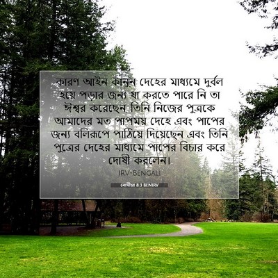 Picture 07 - ৰোমীয়া 8:3 BENIRV - কারণ আইন কানুন - Bible Verse Picture