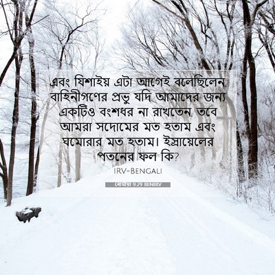 Picture 07 - ৰোমীয়া 9:29 BENIRV - এবং যিশাইয় এটা - Bible Verse Picture
