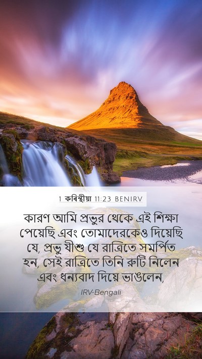 1 কৰিন্থীয়া 11:23 BENIRV Bible Verse Image