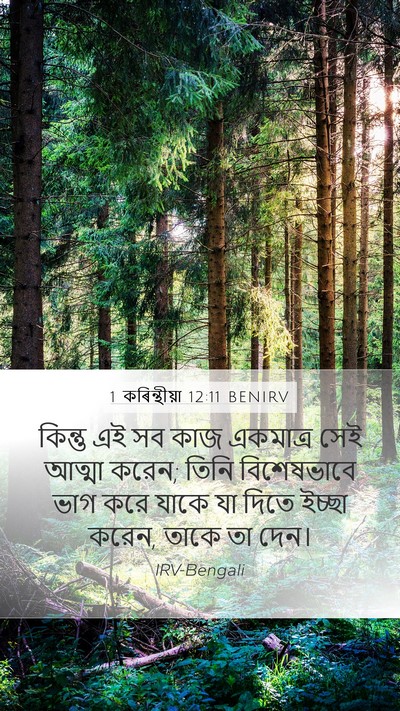 1 কৰিন্থীয়া 12:11 BENIRV Bible Verse Image