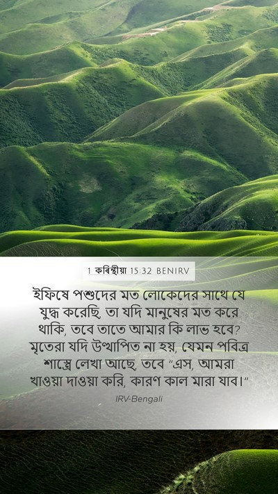 1 কৰিন্থীয়া 15:32 BENIRV Bible Verse Image