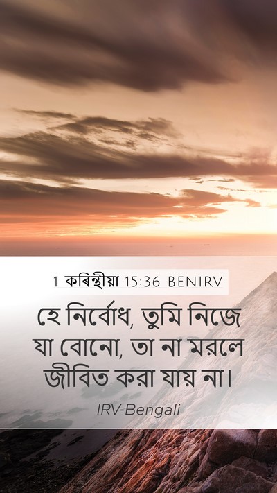 1 কৰিন্থীয়া 15:36 BENIRV Bible Verse Image