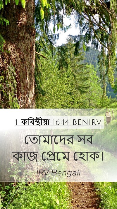 1 কৰিন্থীয়া 16:14 BENIRV Bible Verse Image