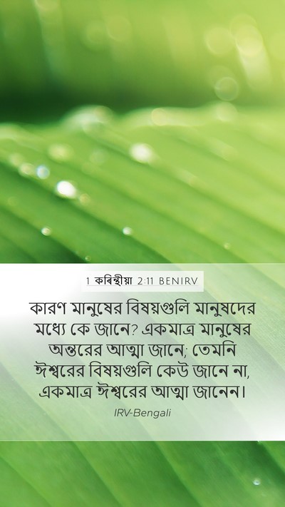 1 কৰিন্থীয়া 2:11 BENIRV Bible Verse Image