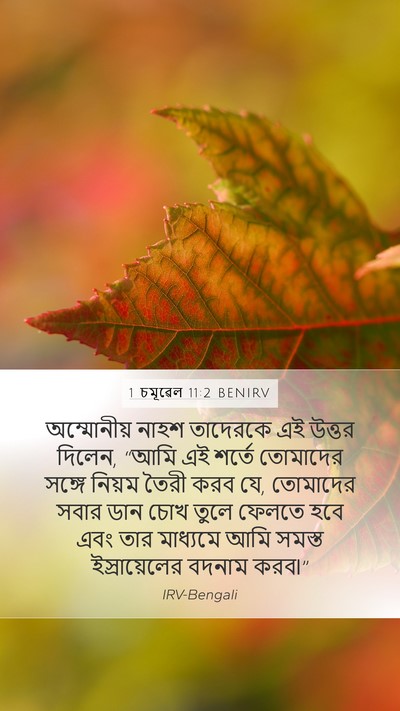 1 চমূৱেল 11:2 BENIRV Bible Verse Image