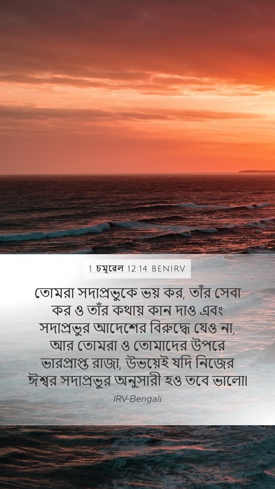 1 চমূৱেল 12:14 BENIRV Bible Verse Image