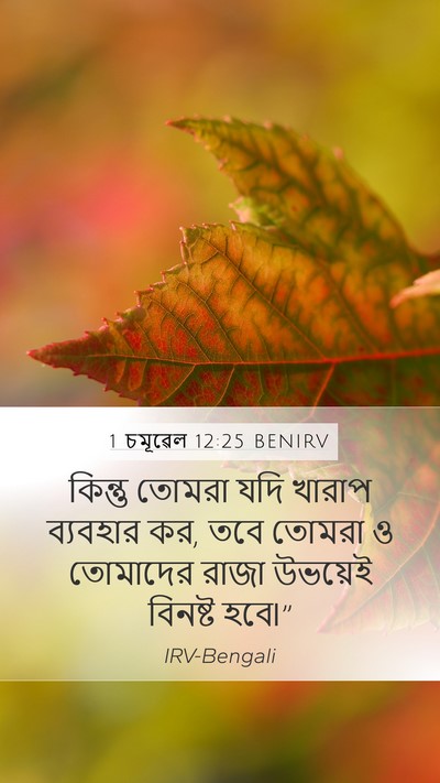 1 চমূৱেল 12:25 BENIRV Bible Verse Image
