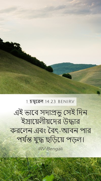 1 চমূৱেল 14:23 BENIRV Bible Verse Image