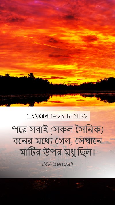 1 চমূৱেল 14:25 BENIRV Mobile Phone Wallpaper - পরে সবাই (সকল - Mobile Bible Verse Wallpaper