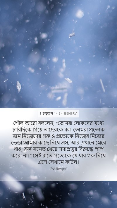 1 চমূৱেল 14:34 BENIRV Mobile Phone Wallpaper - শৌল আরো বললেন, - Mobile Bible Verse Wallpaper