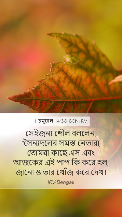 1 চমূৱেল 14:38 BENIRV Bible Verse Image