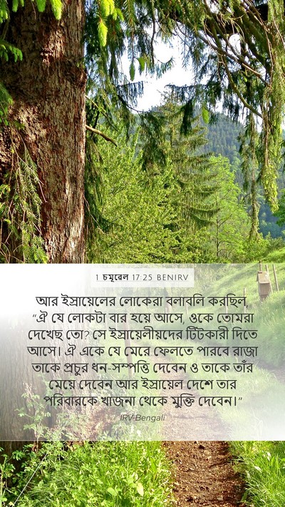 1 চমূৱেল 17:25 BENIRV Bible Verse Image