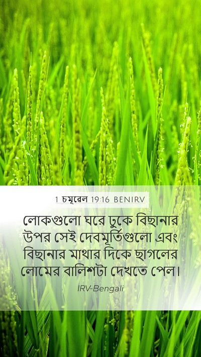 1 চমূৱেল 19:16 BENIRV Mobile Phone Wallpaper - লোকগুলো ঘরে ঢুকে - Mobile Bible Verse Wallpaper