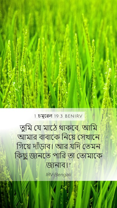 1 চমূৱেল 19:3 BENIRV Mobile Phone Wallpaper - তুমি যে মাঠে থাকবে, - Mobile Bible Verse Wallpaper