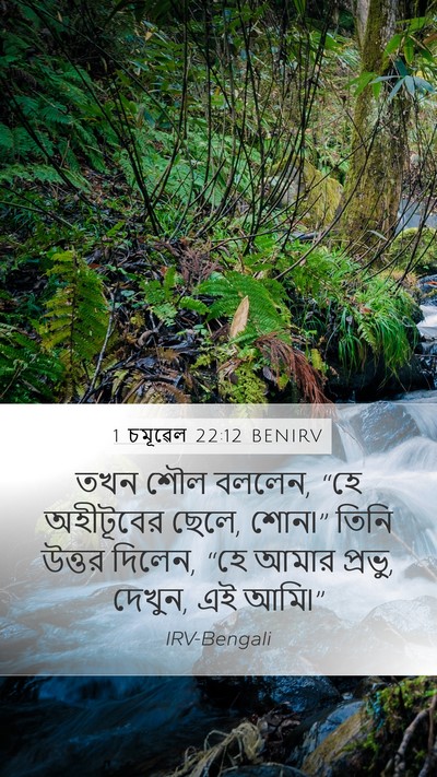 1 চমূৱেল 22:12 BENIRV Bible Verse Image