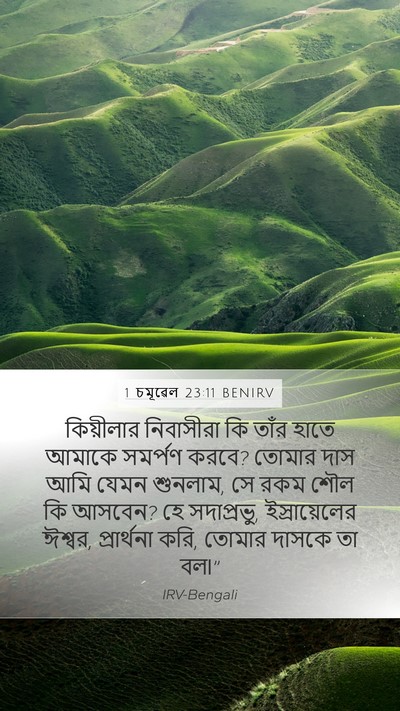 1 চমূৱেল 23:11 BENIRV Bible Verse Image