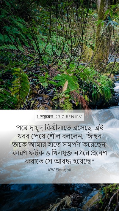 1 চমূৱেল 23:7 BENIRV Bible Verse Image