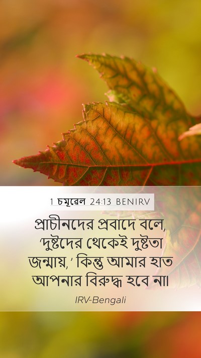 1 চমূৱেল 24:13 BENIRV Bible Verse Image