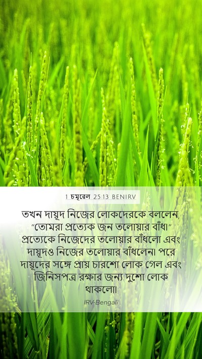 1 চমূৱেল 25:13 BENIRV Bible Verse Image