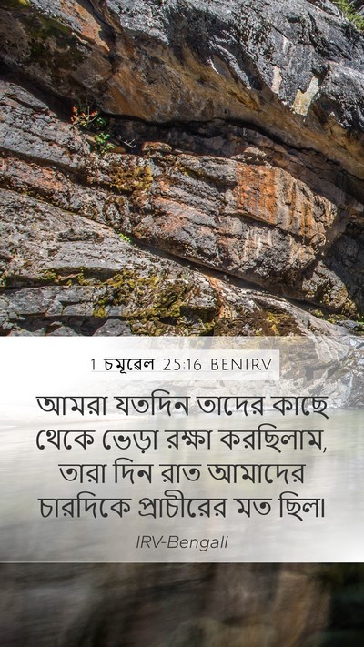 1 চমূৱেল 25:16 BENIRV Bible Verse Image
