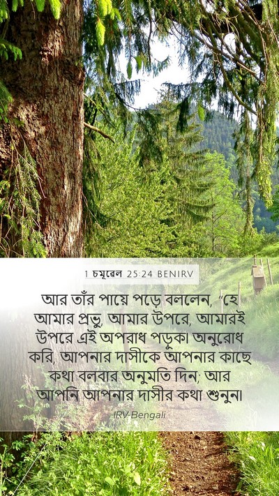 1 চমূৱেল 25:24 BENIRV Bible Verse Image