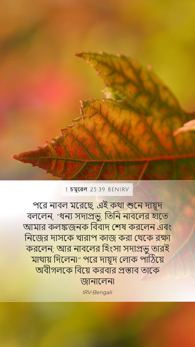 1 চমূৱেল 25:39 BENIRV Bible Verse Image