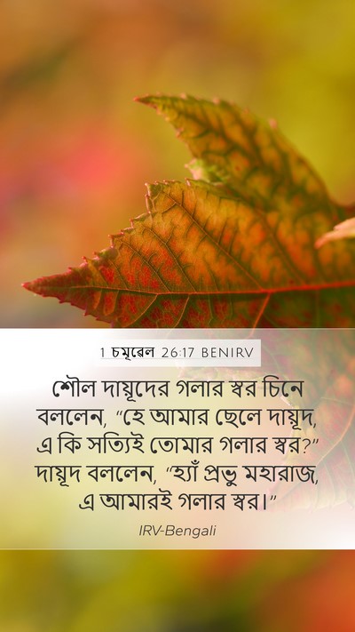 1 চমূৱেল 26:17 BENIRV Bible Verse Image