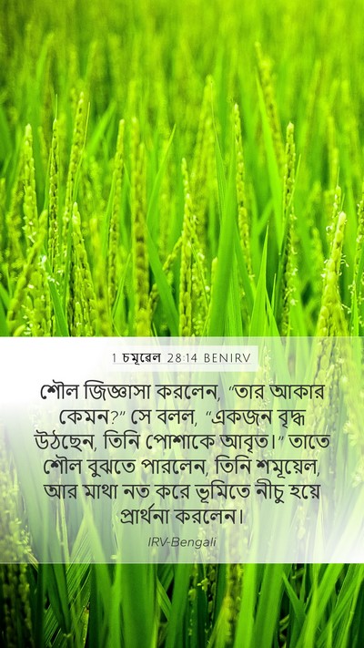 1 চমূৱেল 28:14 BENIRV Bible Verse Image