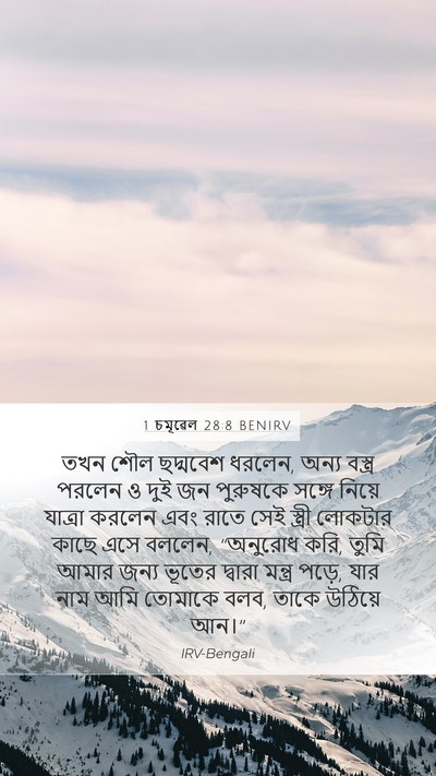 1 চমূৱেল 28:8 BENIRV Bible Verse Image