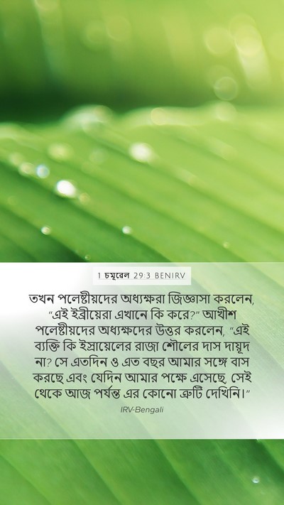 1 চমূৱেল 29:3 BENIRV Bible Verse Image