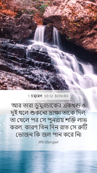 1 চমূৱেল 30:12 BENIRV Bible Verse Image