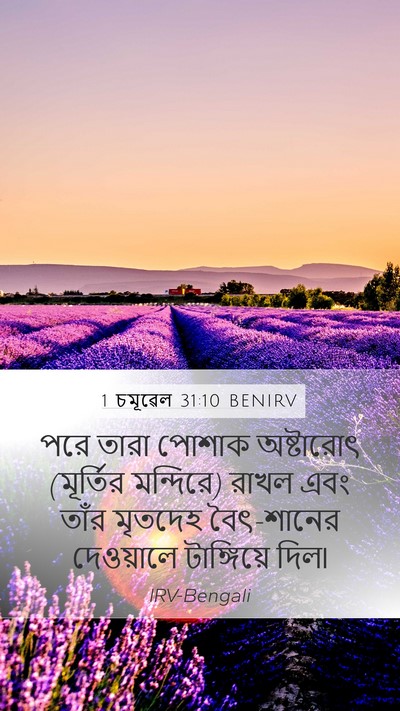 1 চমূৱেল 31:10 BENIRV Bible Verse Image