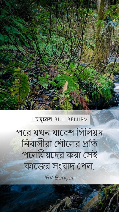 1 চমূৱেল 31:11 BENIRV Bible Verse Image