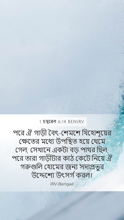 1 চমূৱেল 6:14 BENIRV Bible Verse Image