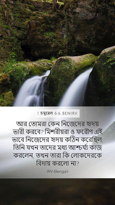 1 চমূৱেল 6:6 BENIRV Bible Verse Image