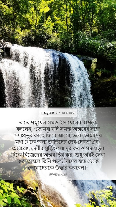 1 চমূৱেল 7:3 BENIRV Bible Verse Image