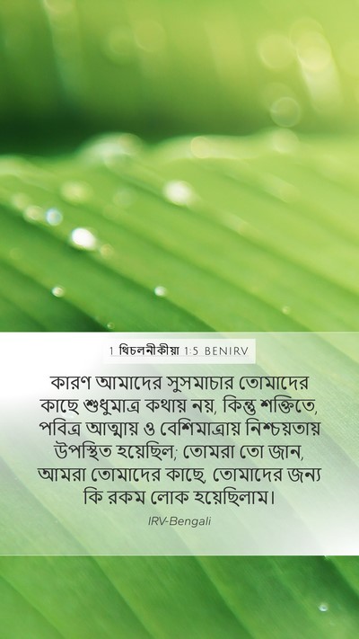 1 থিচলনীকীয়া 1:5 BENIRV Bible Verse Image