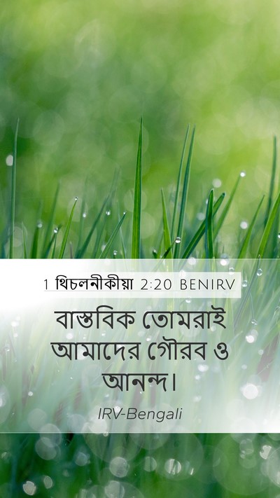 1 থিচলনীকীয়া 2:20 BENIRV Mobile Phone Wallpaper - বাস্তবিক তোমরাই - Mobile Bible Verse Wallpaper