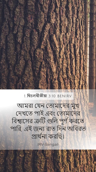1 থিচলনীকীয়া 3:10 BENIRV Bible Verse Image