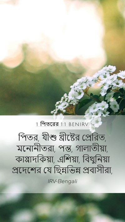 1 পিতরের 1:1 BENIRV Mobile Phone Wallpaper - পিতর, যীশু - Mobile Bible Verse Wallpaper