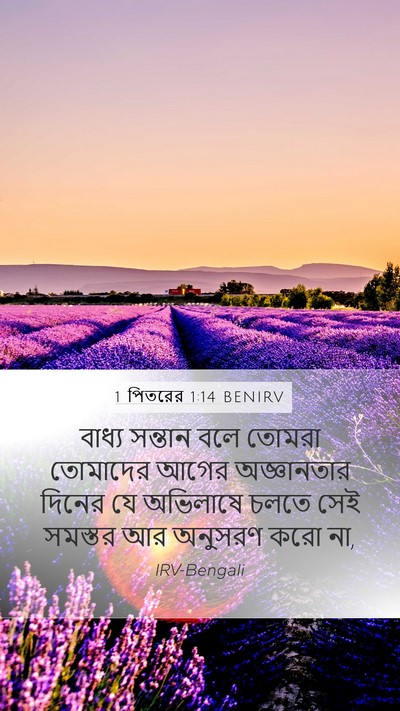 1 পিতরের 1:14 BENIRV Bible Verse Image