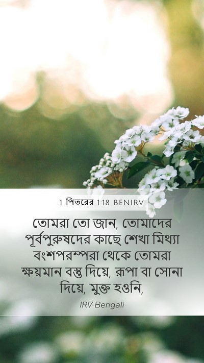 1 পিতরের 1:18 BENIRV Bible Verse Image