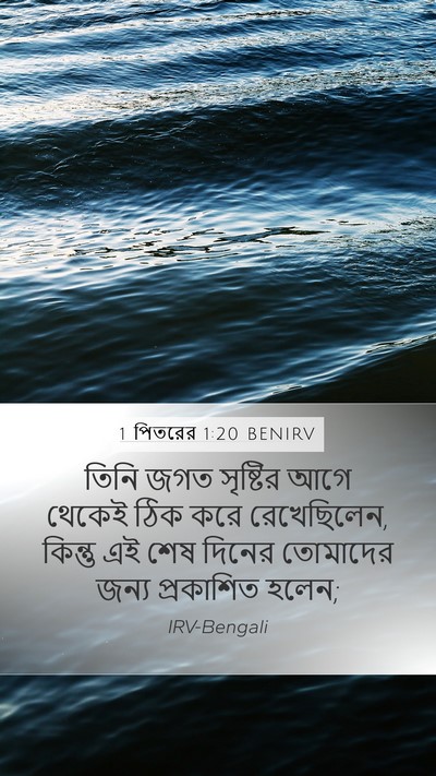 1 পিতরের 1:20 BENIRV Bible Verse Image