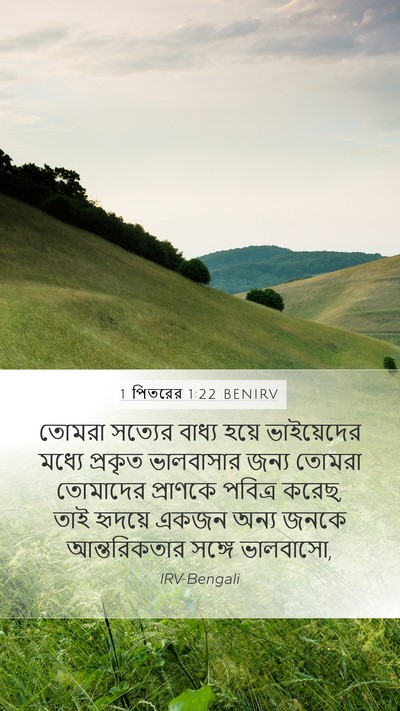 1 পিতরের 1:22 BENIRV Bible Verse Image