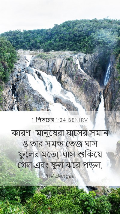 1 পিতরের 1:24 BENIRV Bible Verse Image