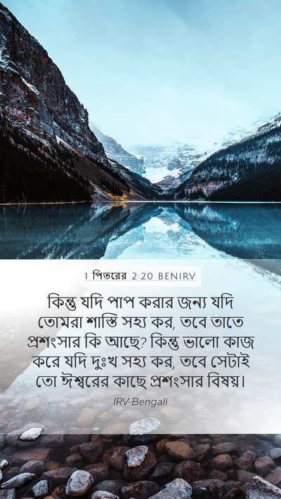 1 পিতরের 2:20 BENIRV Bible Verse Image