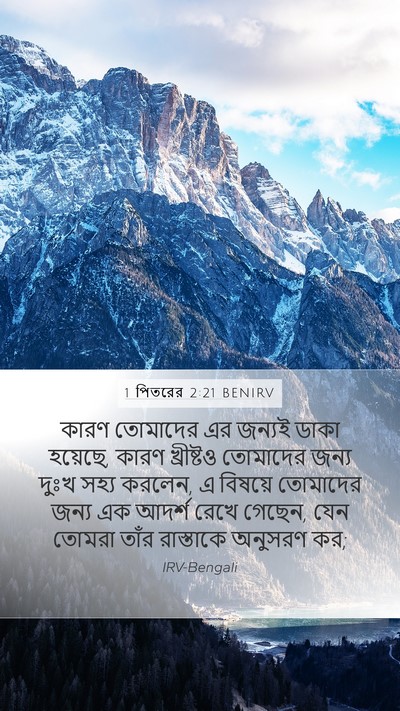 1 পিতরের 2:21 BENIRV Bible Verse Image