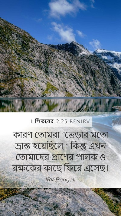 1 পিতরের 2:25 BENIRV Bible Verse Image