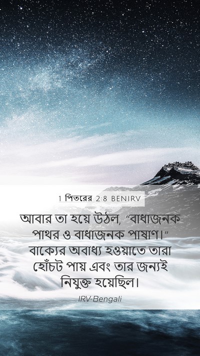 1 পিতরের 2:8 BENIRV Bible Verse Image