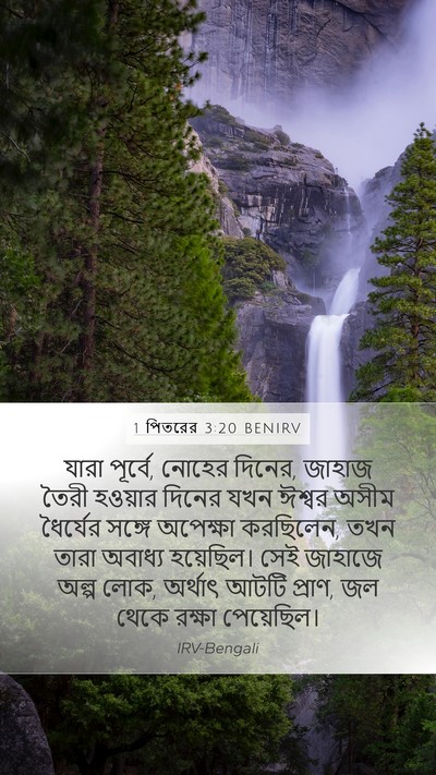 1 পিতরের 3:20 BENIRV Bible Verse Image